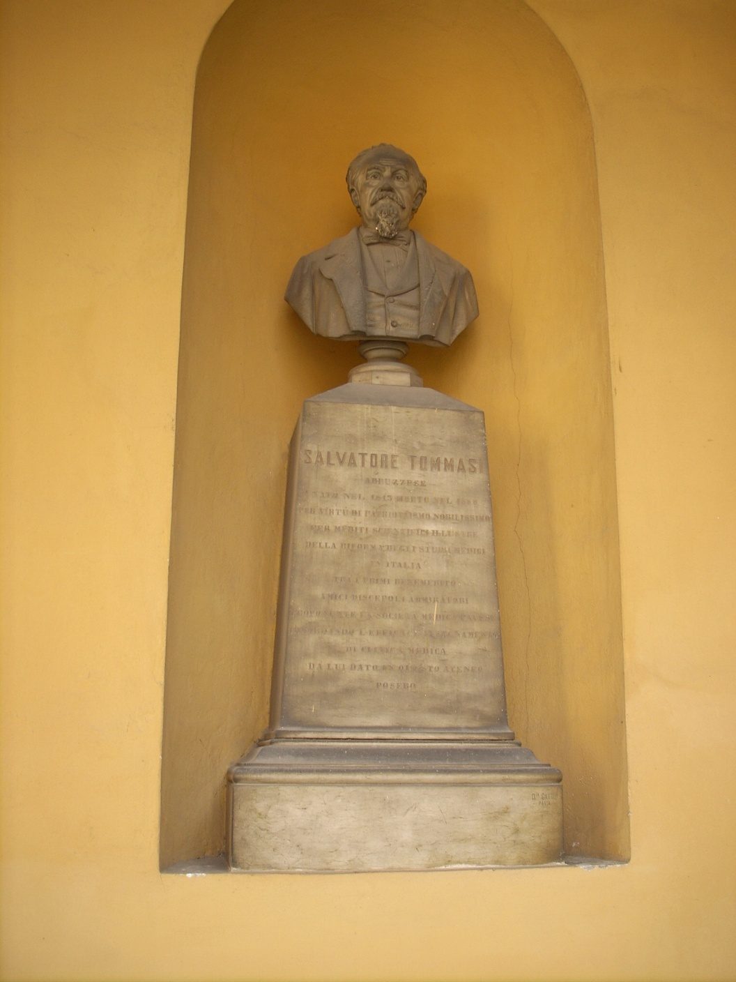 Salvatore Tommasi monument, University, Pavia - 1.jpg